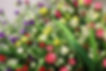 ©KWIATOLANDIA - Importer of Artificial Flowers and Decorations