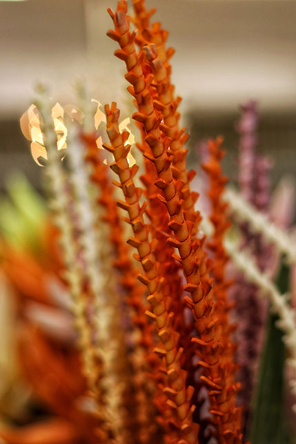 ©KWIATOLANDIA - Importer of Artificial Flowers and Decorations