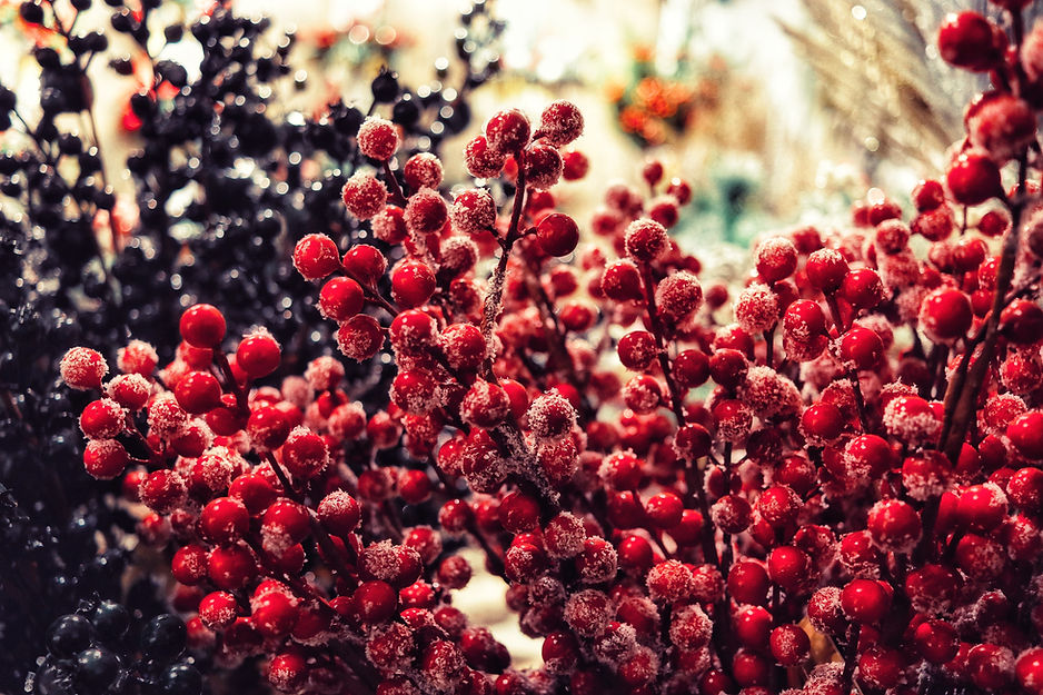 ©KWIATOLANDIA - Importer of Artificial Flowers and Decorations
