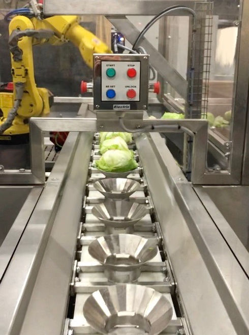 Conveyor.jpeg