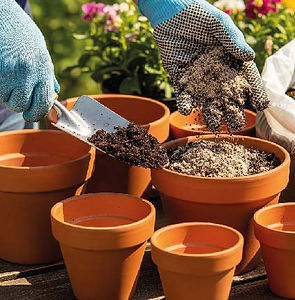 Pó de coco Alta retenção de umidade, 100% natural, ótimo pra o agronegócio e jardinagem