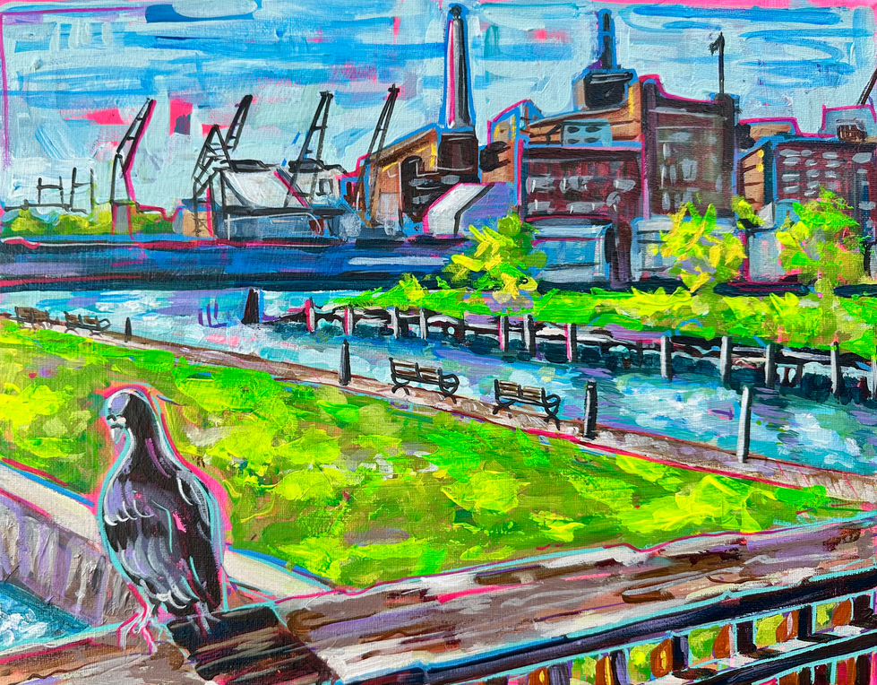Pigeonfinal.heif