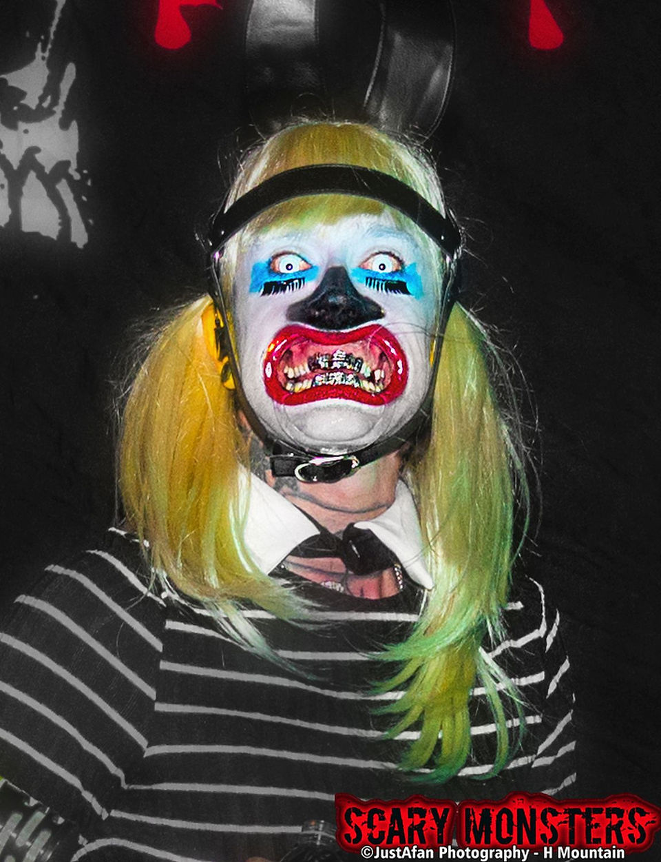 DSC_2441