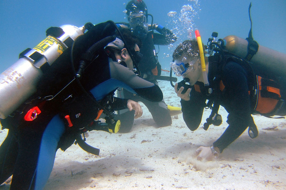 Exploring the Wonders of the Deep: Scuba Diving Classes