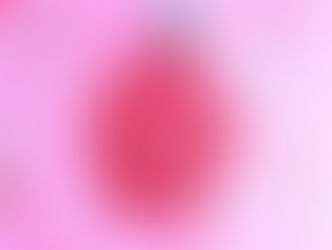 Collected Stick Apple