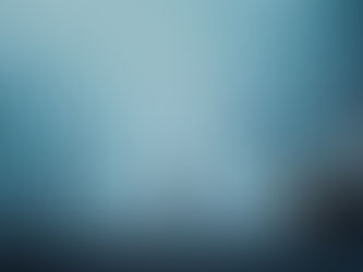 人間蒸發株式會社（2024）