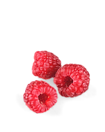 Fore St (8).png