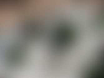 Etiquettes de jardin.