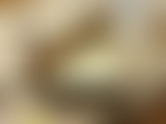 PIFF, Perwez International Film Festival