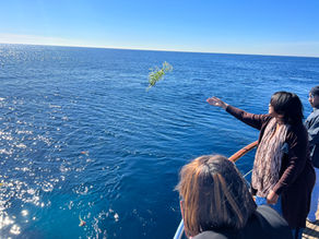 Is It Legal to Scatter Ashes in the Ocean? California Laws & Requirements