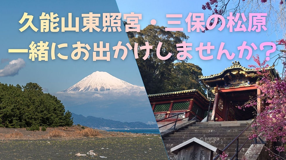 久能山東照宮と三保の松原に行こう！