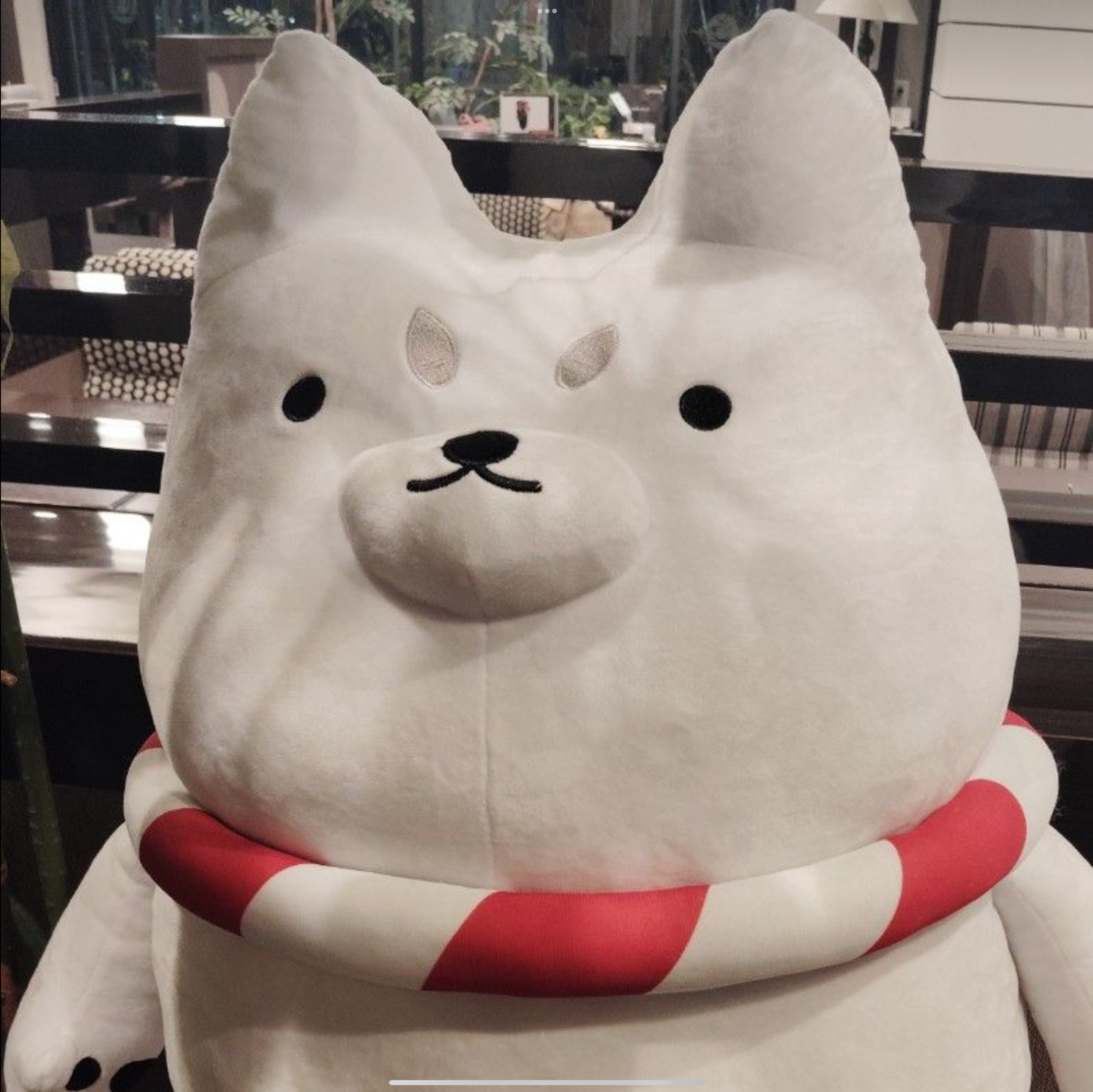 執筆者の写真: すー