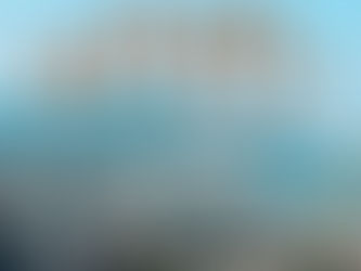 焼津を散策しよう！