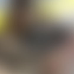 Prong Collars, Good or Bad?