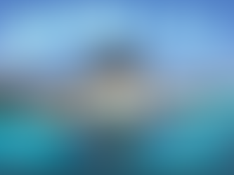 用宗で散歩しよう!