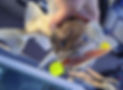 08531ceb-85f0-4e78-98b6-4576009bd80b.jpeg