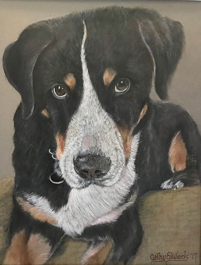 Great Swiss Mountain Dog by Cathy Edwards