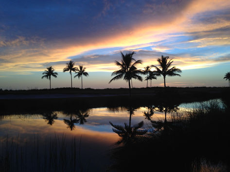 My Favorite Place in the World: Sanibel and Captiva Island
