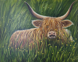 Coo-zey in the field