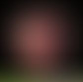 Forest Spirit "Poacher" Classification" 17 Sep 23