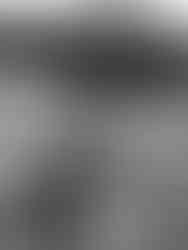 musik in the park colchester music festival event photography