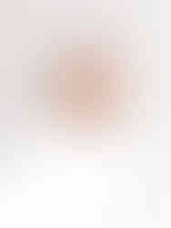 In home newborn session plus pooch! Colchester, Essex