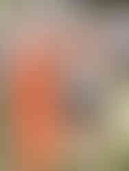 musik in the park colchester music festival event photography