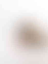 In home newborn session plus pooch! Colchester, Essex