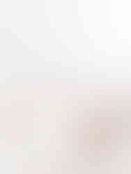 In home newborn session plus pooch! Colchester, Essex