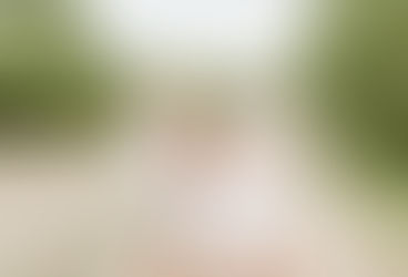 essex outdoor family woodland photo shoot colchester photographer