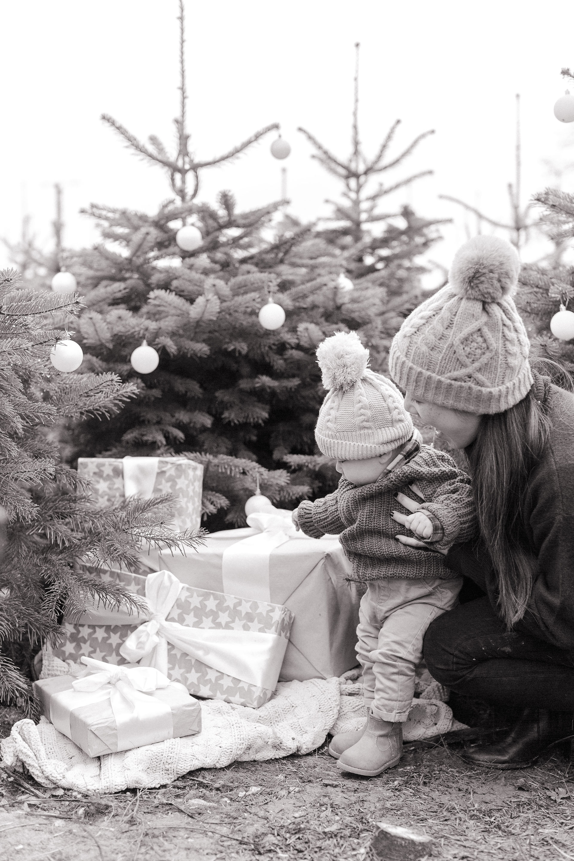 christmas tree farm colchester photo shoot