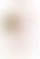 small business florist commercial product brand photographer essex london suffolk