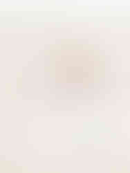 outdoor newborn photo shoot colchester essex london