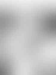 musik in the park colchester music festival event photography