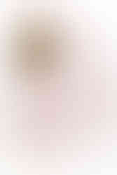 small business florist commercial product brand photographer essex london suffolk