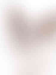 cat photographer suffolk essex