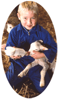 La petite bergerie