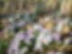 AdobeStock_255542538.jpeg