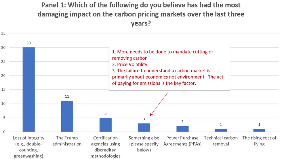 Bar chart on carbon pricing impacts: loss of integrity leads with 30; an annotation notes price volatility and emissions costs.