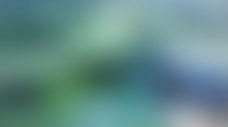 Bermuda chooses USDC Stablecoin as the principal way for Bermudans to pay each other