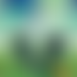 US banks reassured that tokenised securities will receive the same treatment for capital purposes as non-tokenised securities