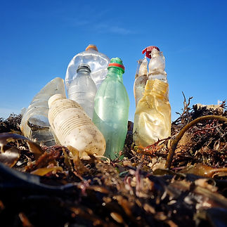 Plastic bottles on the beach.jpeg