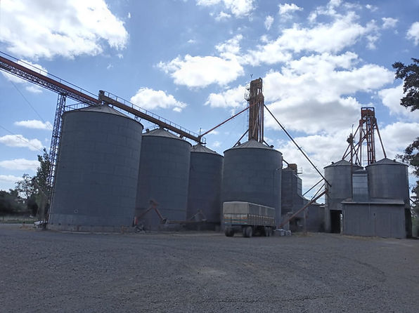 WhatsApp Image 2022-10-17 at 11.50.52 (1).jpeg