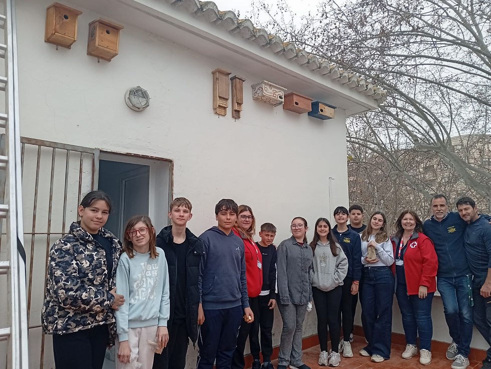 Cajas Nido en Cruz Roja Oliva