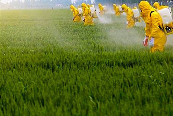 How to Drastically Reduce Colony Exposure to Pesticides
