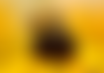 A Pollen Foraging Behavior