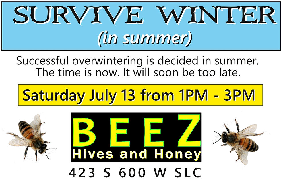 Beekeeping Supplies Salt Lake UT United States BEEZ Hives N Honey