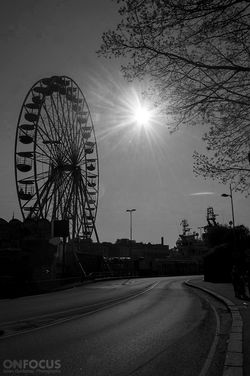 _DSC1466