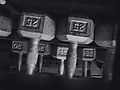 weights2.jpg