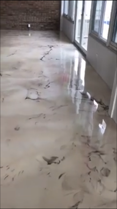 Contemporary hallway showcasing durable epoxy flooring - Marvin's Brick Pavers, Madison, WI